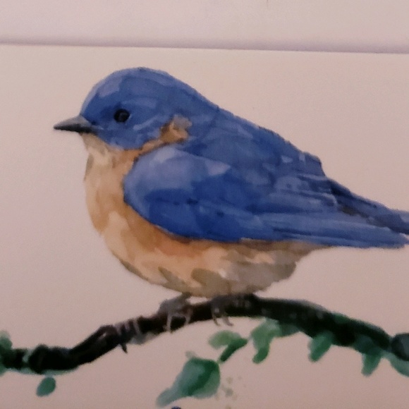 Meet your Posher, Nanette - Picture 1 of 1